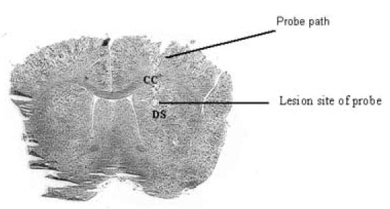 Fig.1