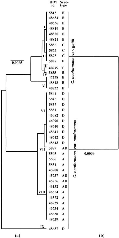 FIG. 3.