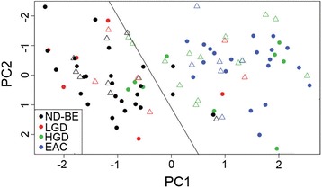 Fig. 7