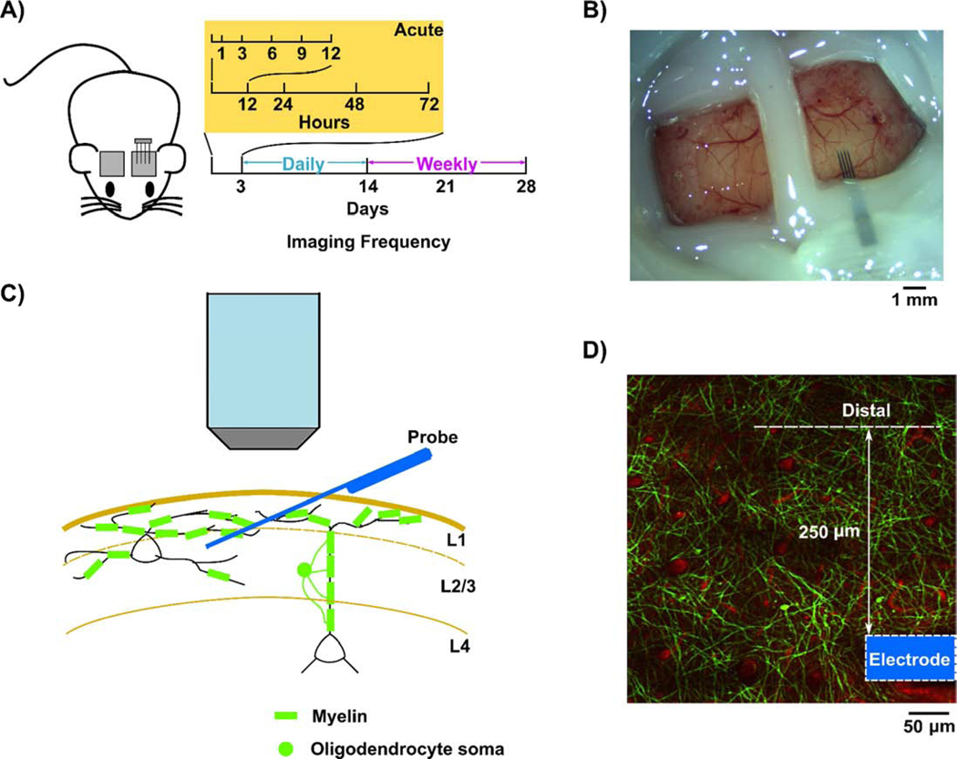 Figure 1: