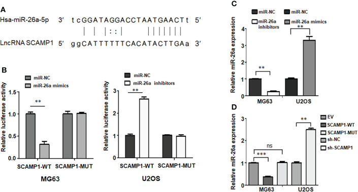 Figure 4