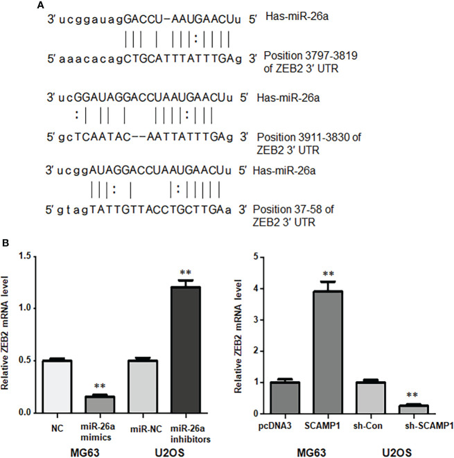 Figure 6