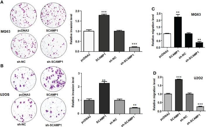 Figure 3