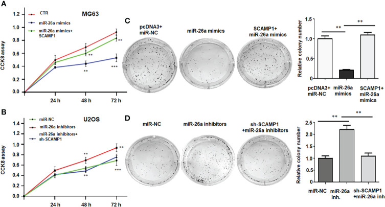 Figure 5