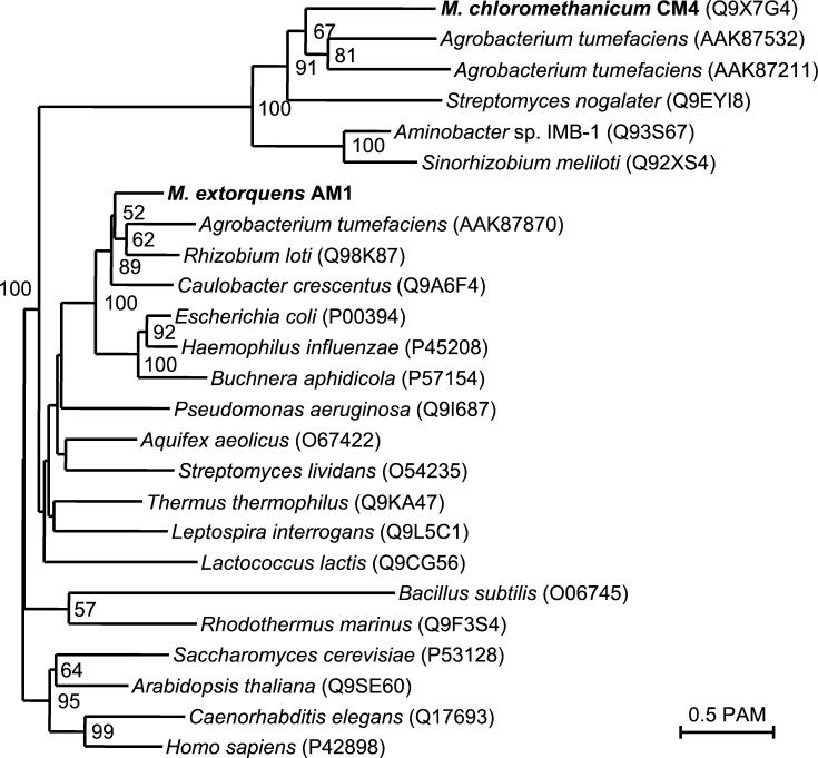 FIG. 6.