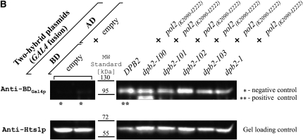 Figure 5.—