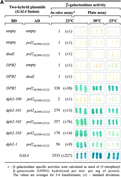 Figure 5.—