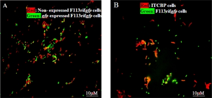 Figure 6.