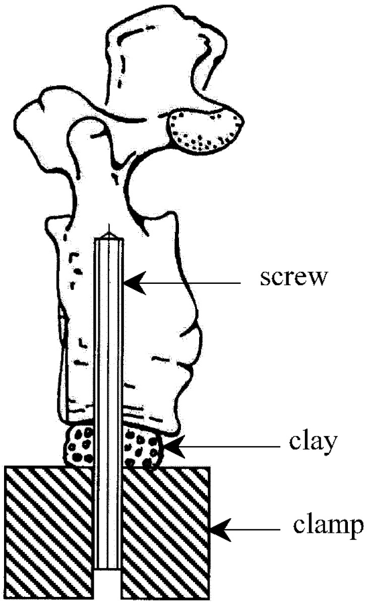 Fig. 2