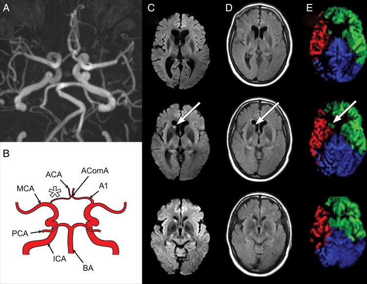 Figure 2