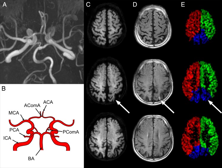 Figure 3