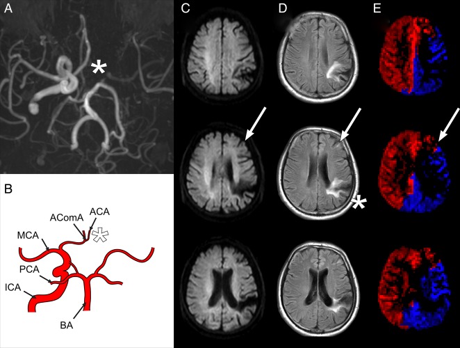 Figure 4