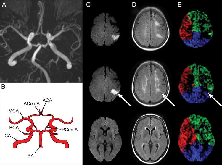 Figure 1