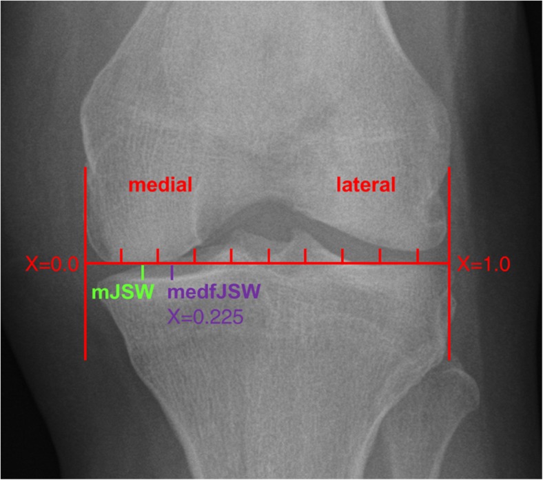 Fig. 2