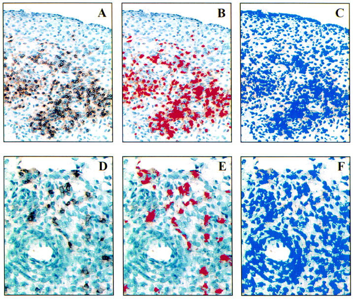 Figure 2  