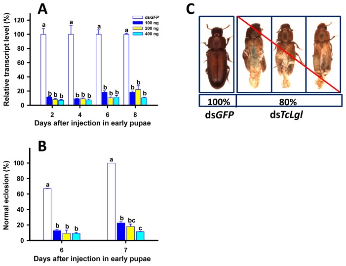 Figure 7.