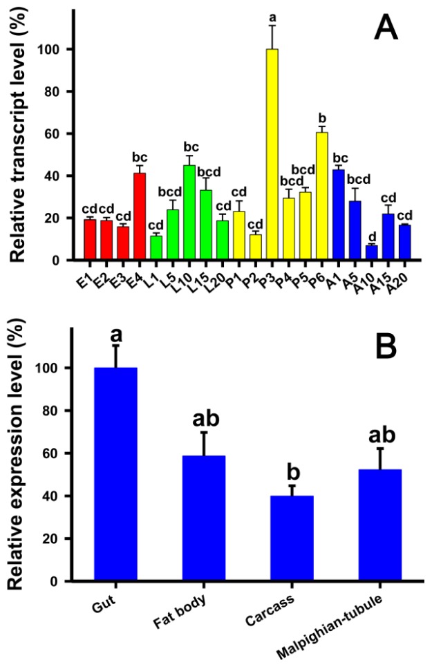 Figure 4.