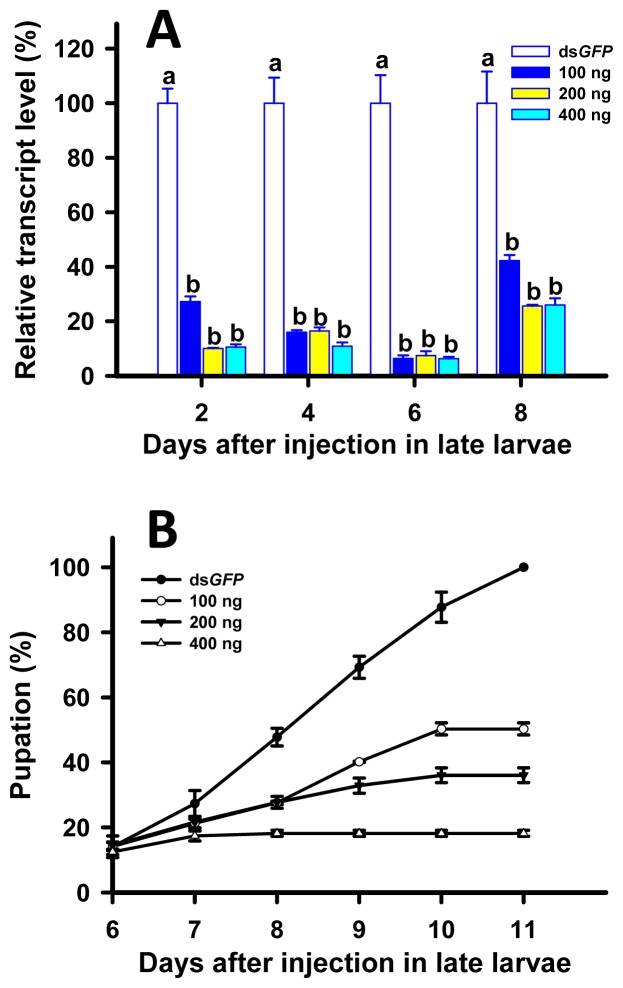 Figure 6.