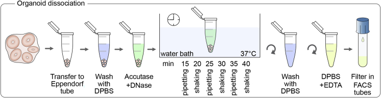 Figure 3