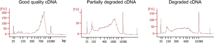 Figure 7