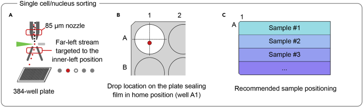 Figure 4