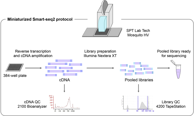 Figure 6