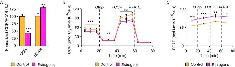 Figure 5