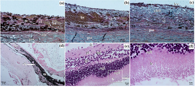 Fig. 10