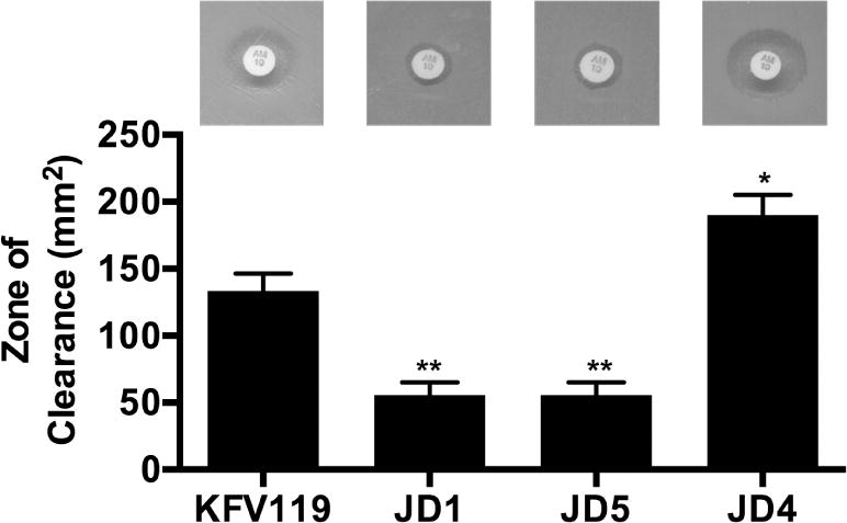 Fig. 2