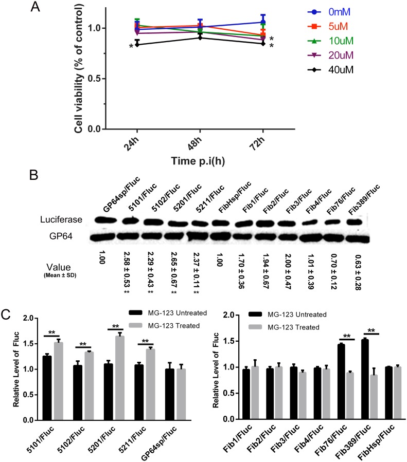 Fig 6