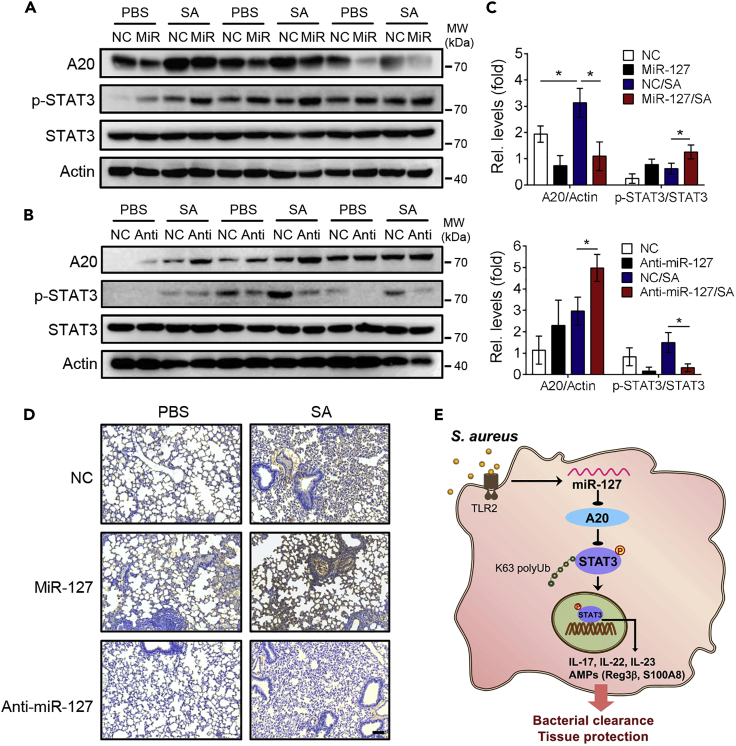 Figure 6