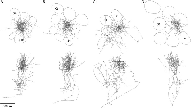 Figure 5.