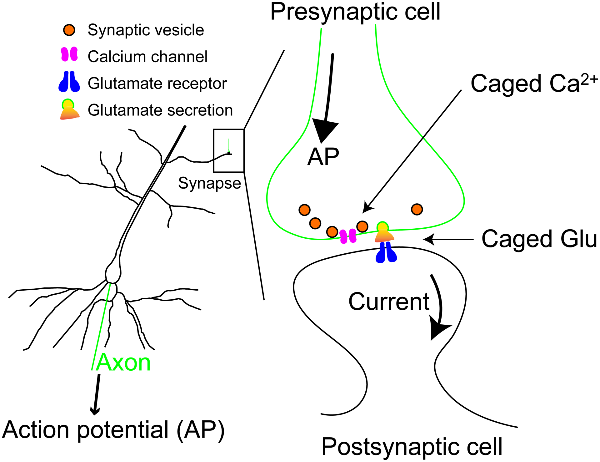 Figure 2.