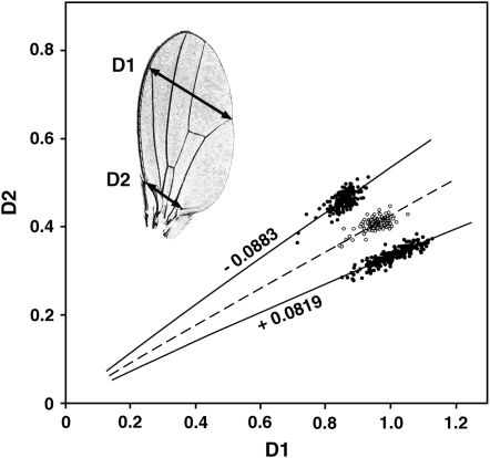 Figure 1.—