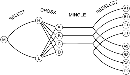 Figure 2.—