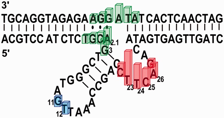 Figure 5.