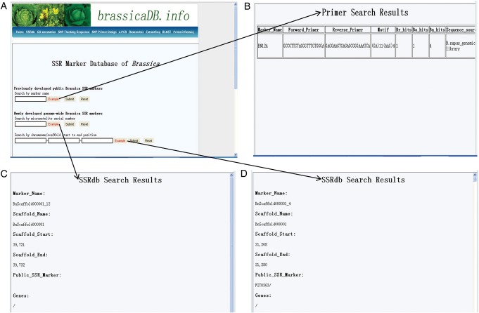 Figure 4.