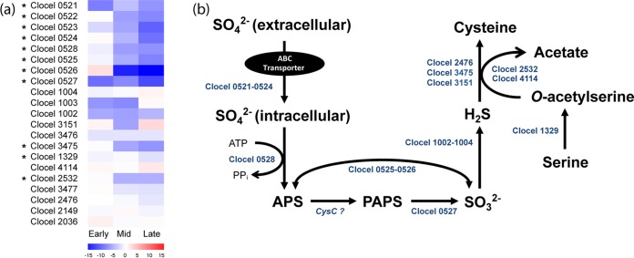 FIG 3