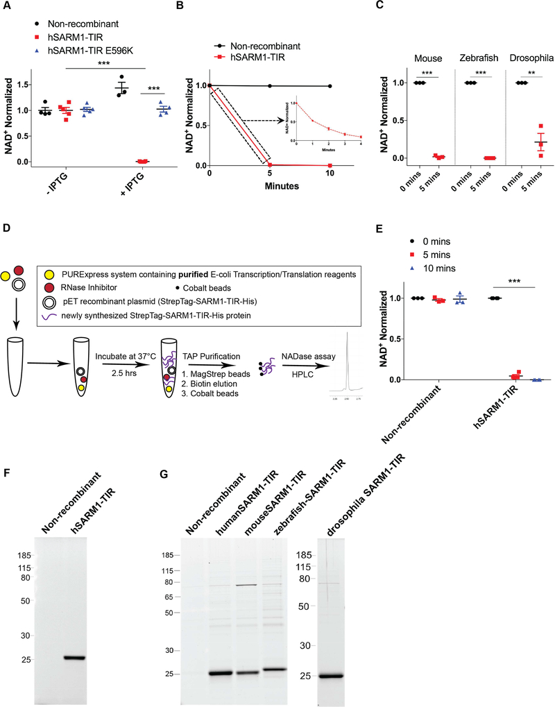 Figure 2: