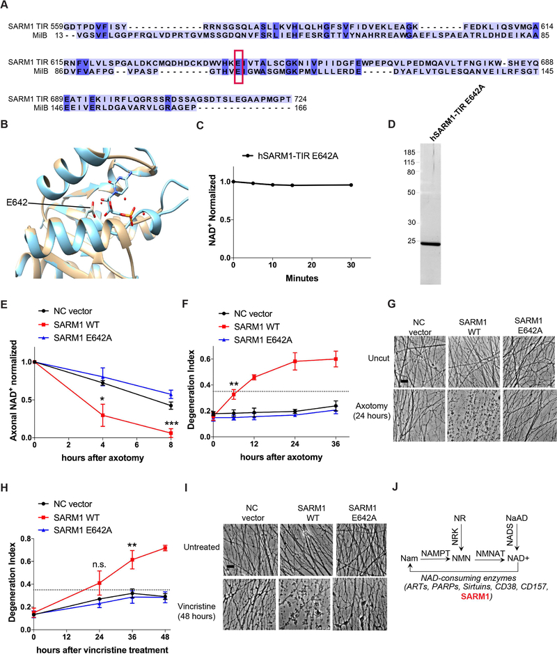 Figure 4: