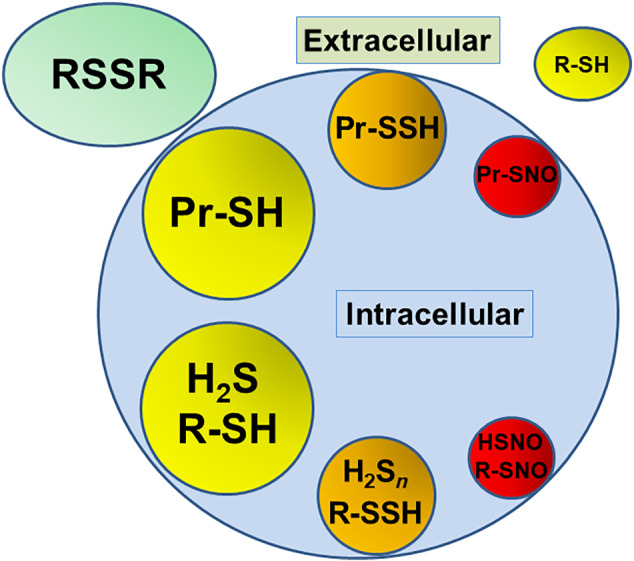 FIGURE 3