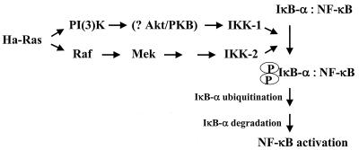 FIG. 11