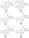 Figure 21