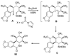 Figure 24