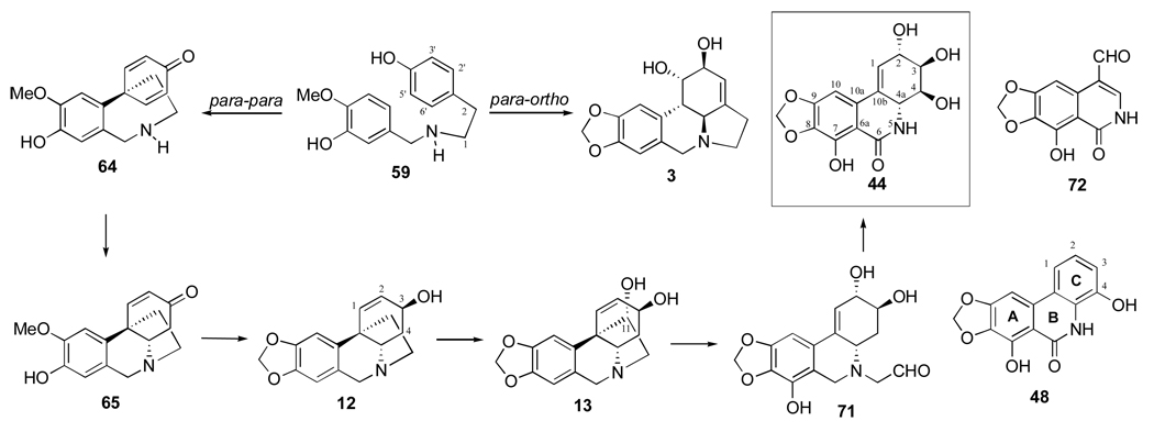 Figure 14