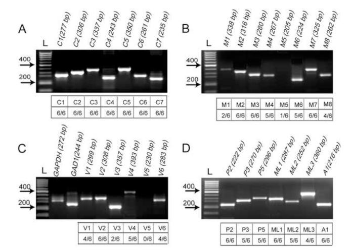 Fig.1