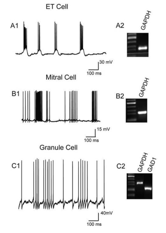 Fig.2