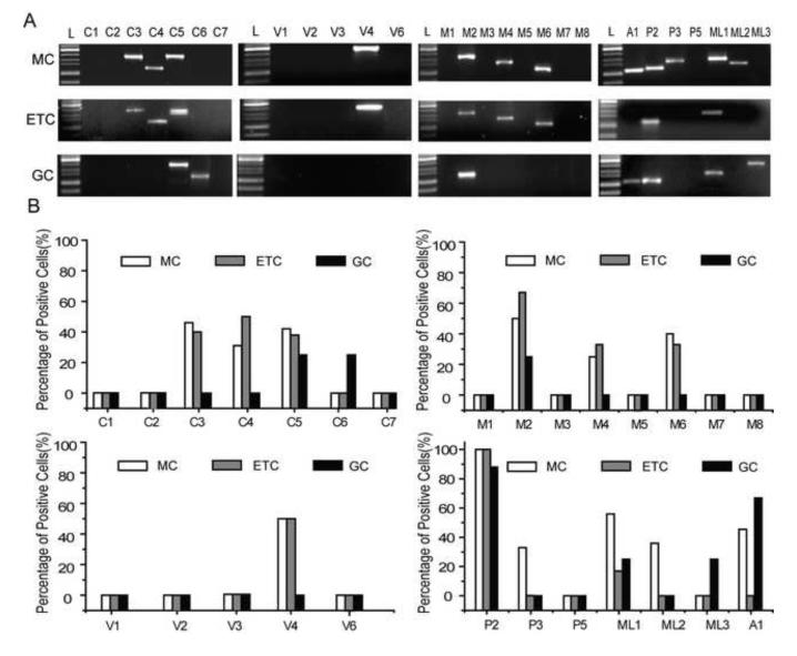 Fig.3