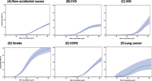 Figures 3A, 3B, 3C, 3D, 3E, and 3F are line graphs plotting hazard ration (95 percent confidence interval) (y-axis) across PM 2.5 concentration (micrograms per cubic meter) (x-axis) for non-accidental causes, CVD, IHD, stroke, COPD, and lung cancer, respectively.