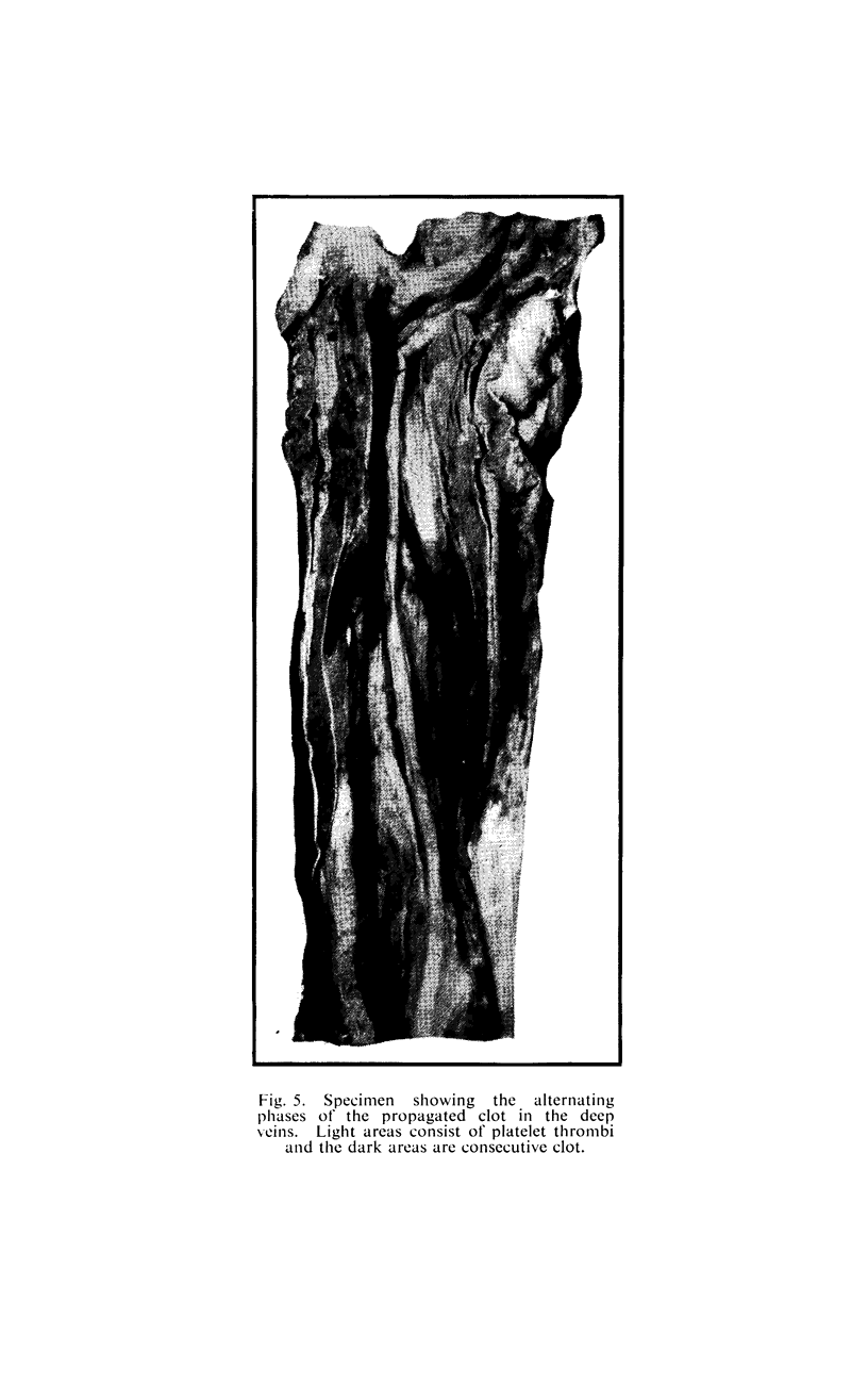 292-3